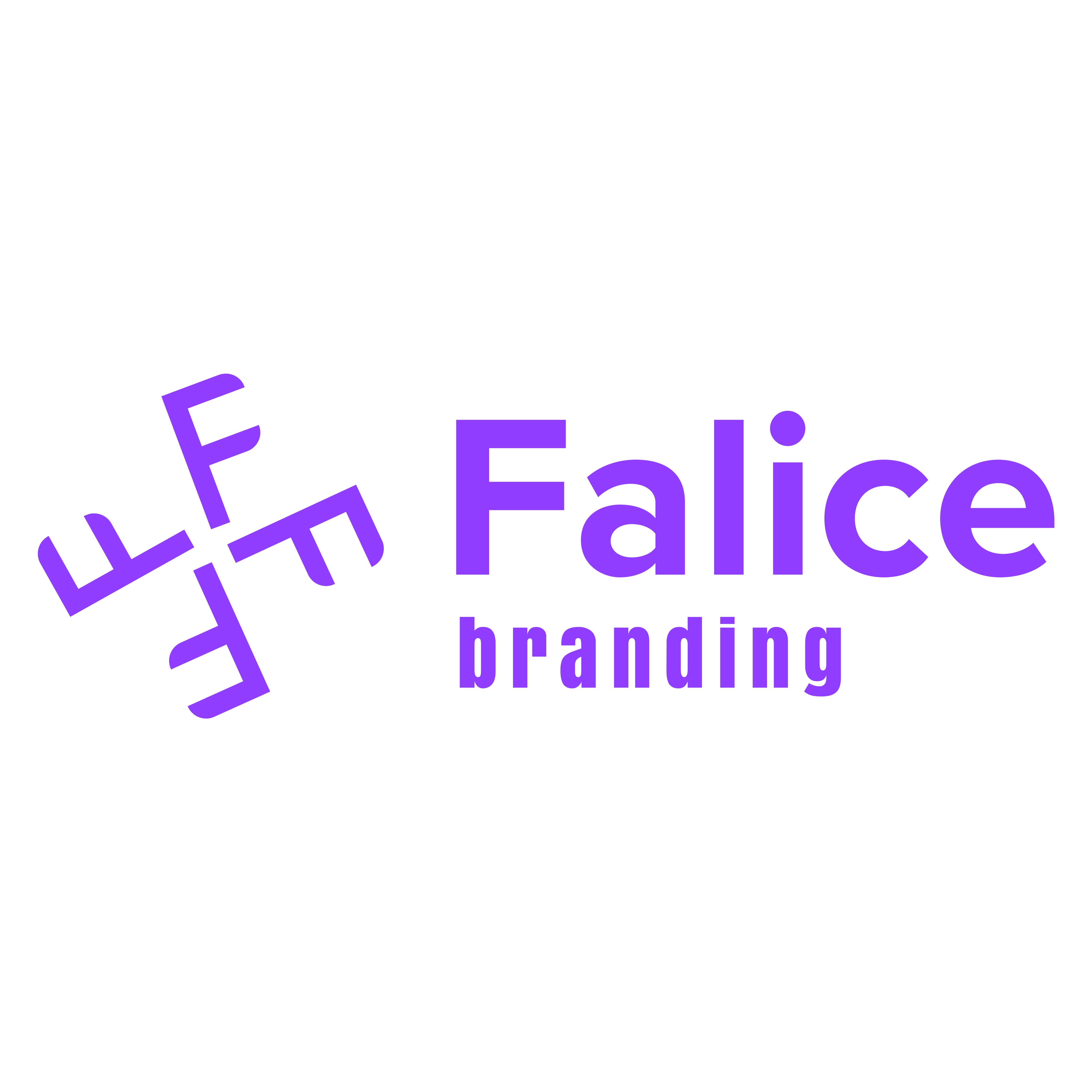 Falice Branding